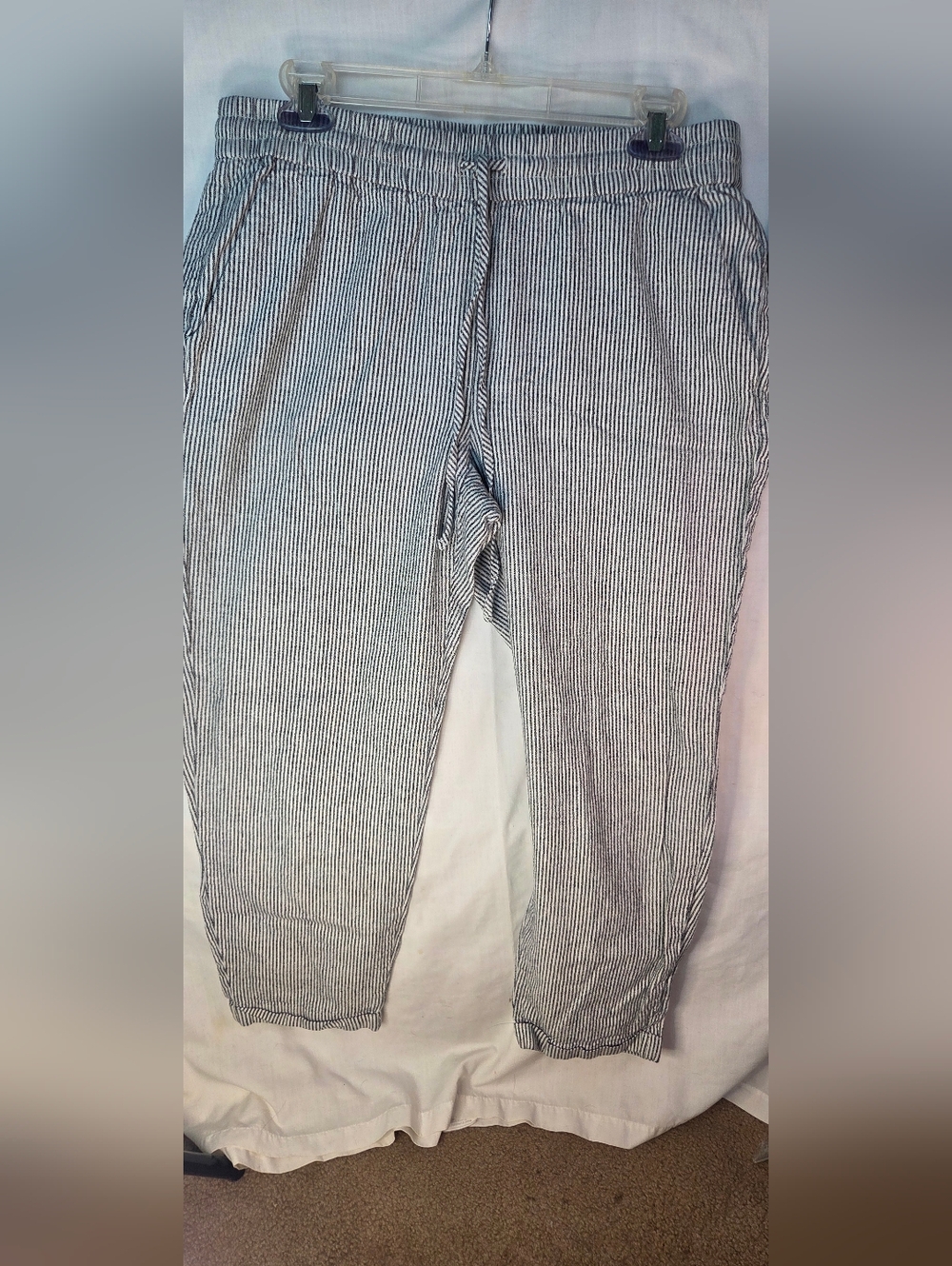 J. Crew Womens Blue/White Linen Blend Pin Stripe Pants Size 10 Style AY192 Style